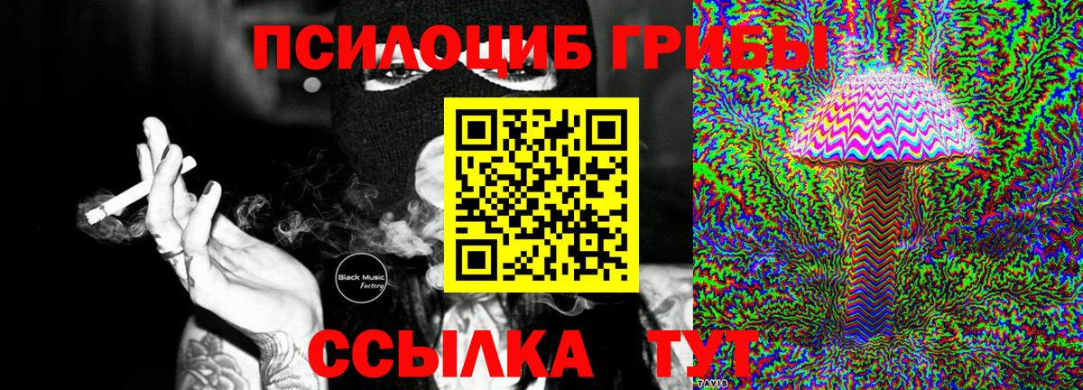 Псилоцибиновые грибы ЛСД Сегежа