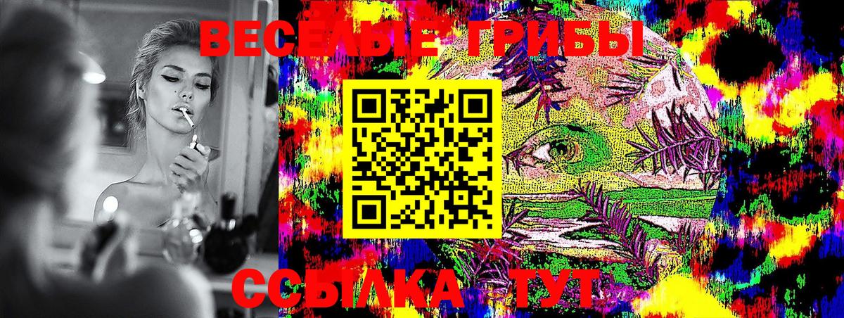 Псилоцибиновые грибы ЛСД  что такое наркотик  Сегежа  Вход с VPN 